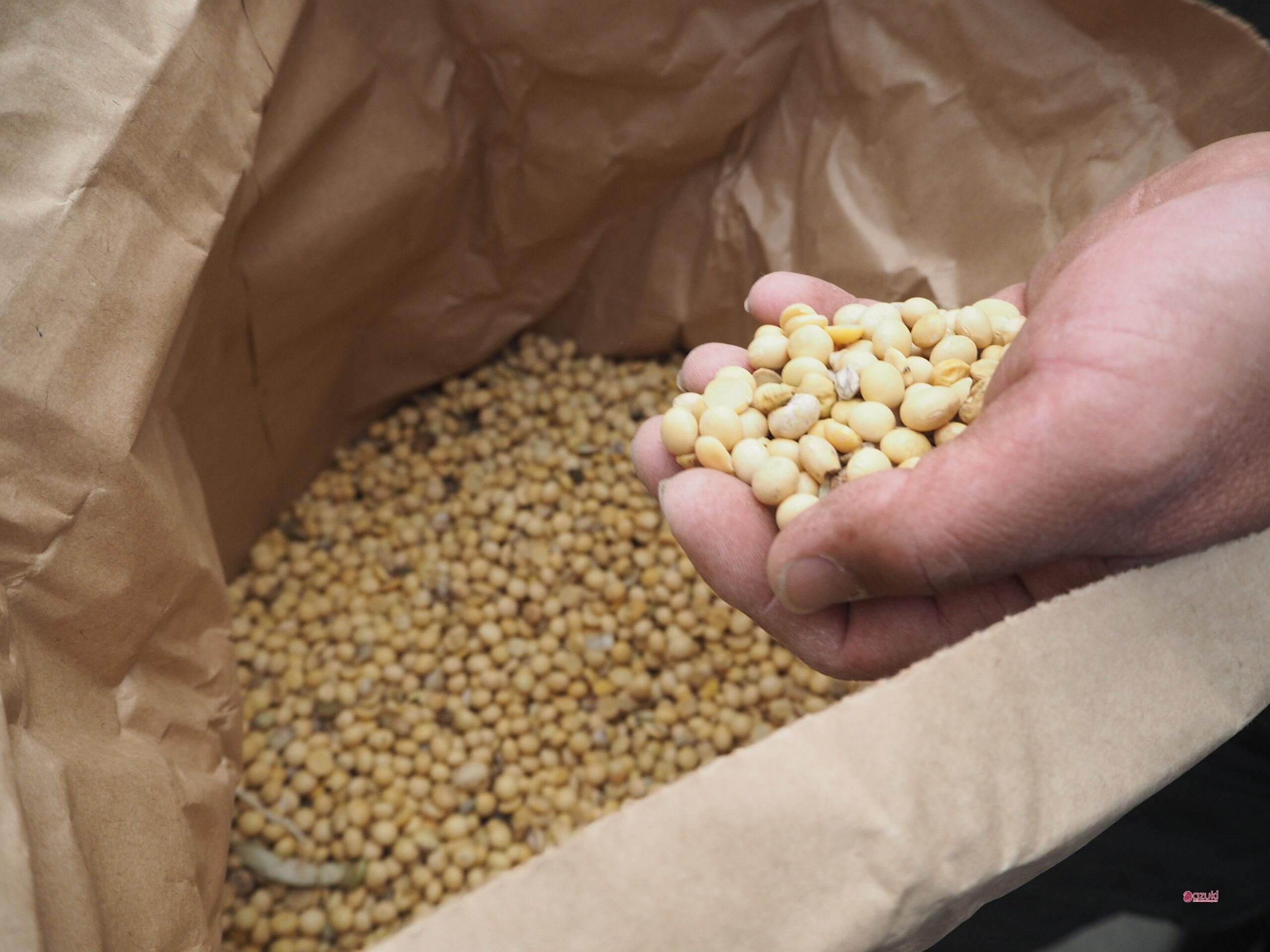 Sprinkling Soybeans Instead of Herbicides